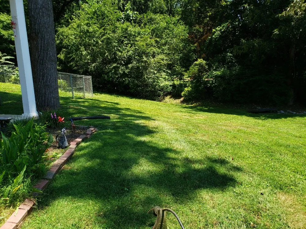 Affordable lawn mowing service experts serving Knoxville, TN - Andrew's Mowing Service