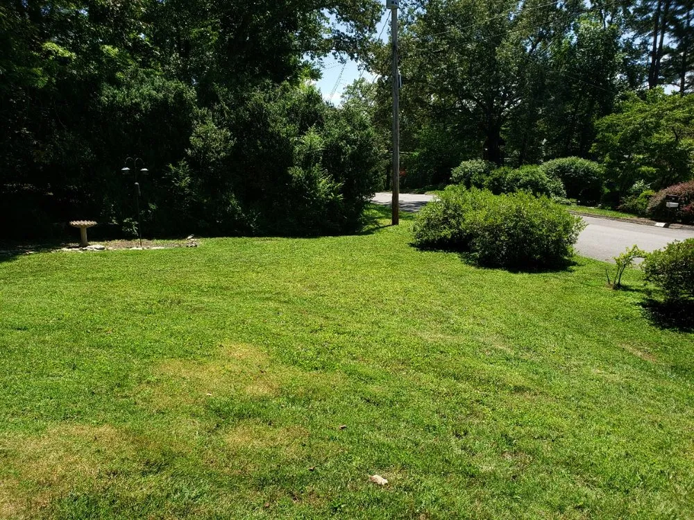 Trusted lawn care service in Knoxville, TN by Andrew's Mowing Service