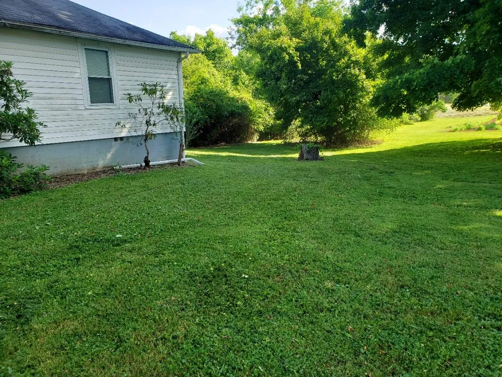 Affordable lawn care service in Knoxville, TN by Andrew's Mowing Service