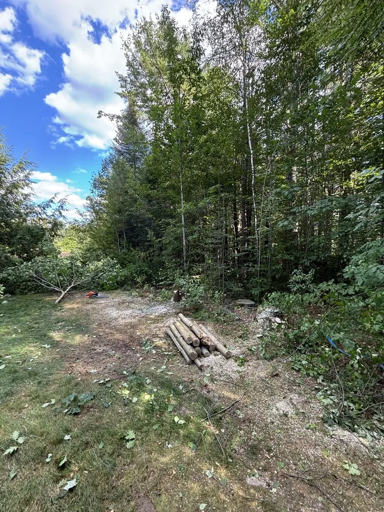 Top-rated yard maintenance in Bradford, NH - Andrews Property Maintenance