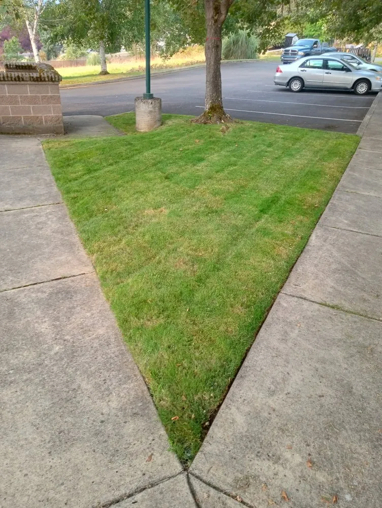 Trusted residential landscaping near you across Roseburg, OR - Andrews Quality Lawncare