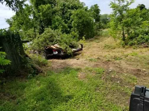 Local yard maintenance in Dallas, TX by Andrews Services