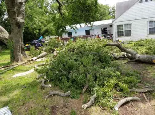 Reliable landscaping services for residential properties across Dallas, TX - Andrews Services