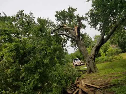 Custom landscaping services in Dallas, TX by Andrews Services