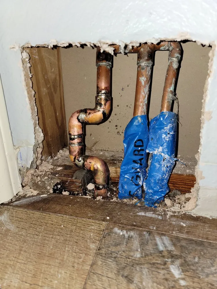 Trusted residential landscaping experts serving Dallas, TX - Andrews Services