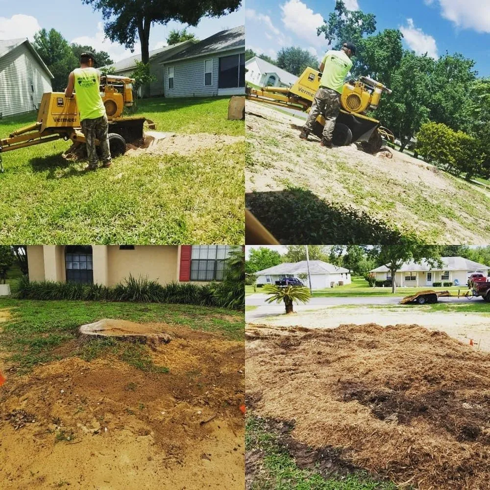 Affordable outdoor landscaping experts serving Lady Lake, FL - Andrews Tree Service