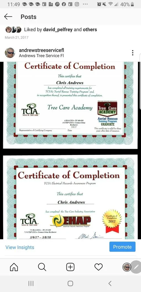 Top-rated landscape installation in Lady Lake, FL - Andrews Tree Service