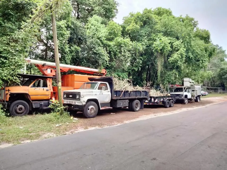 Custom outdoor landscaping in Lady Lake, FL by Andrews Tree Service