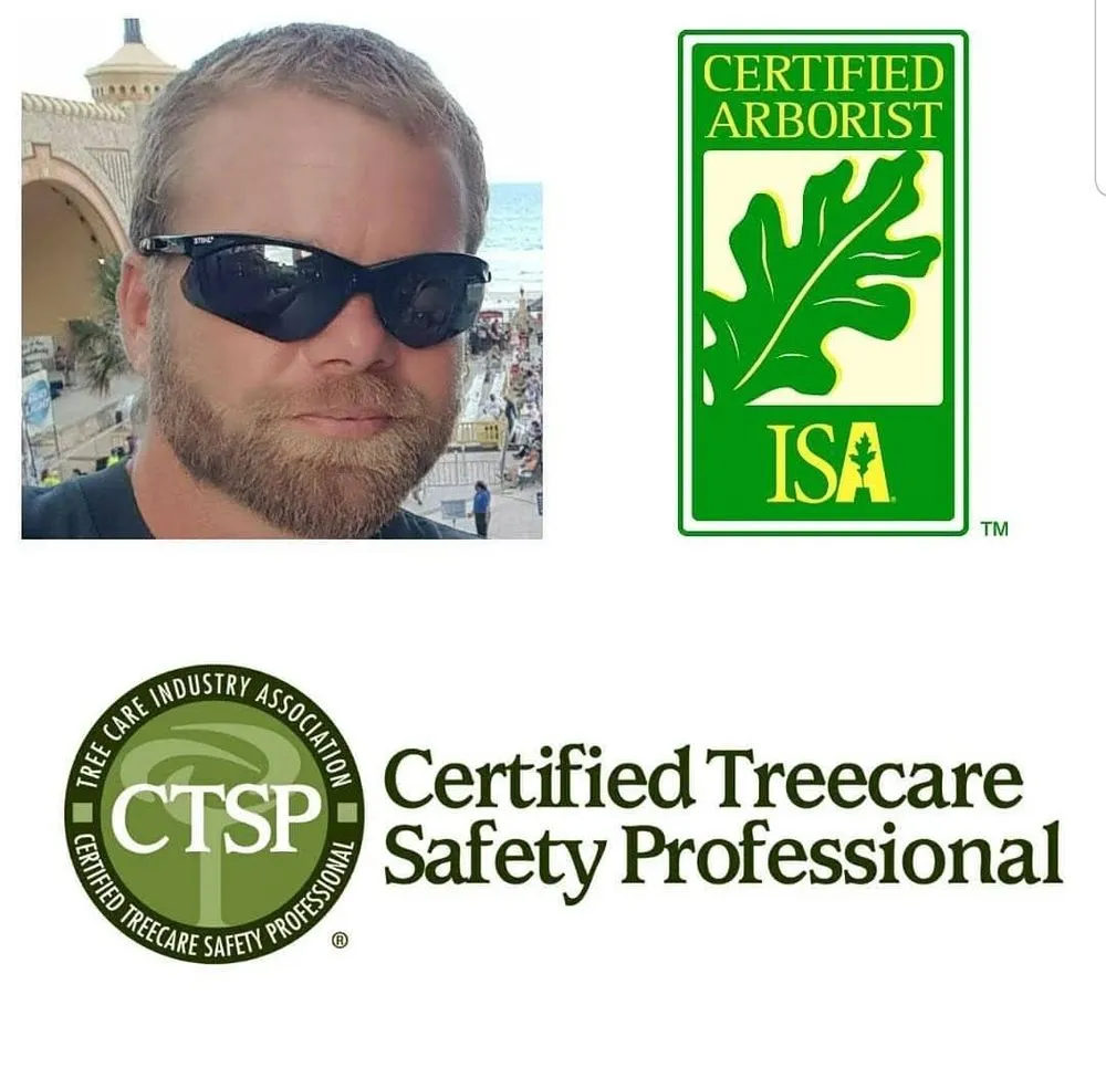 Custom landscape installation experts serving Lady Lake, FL - Andrews Tree Service