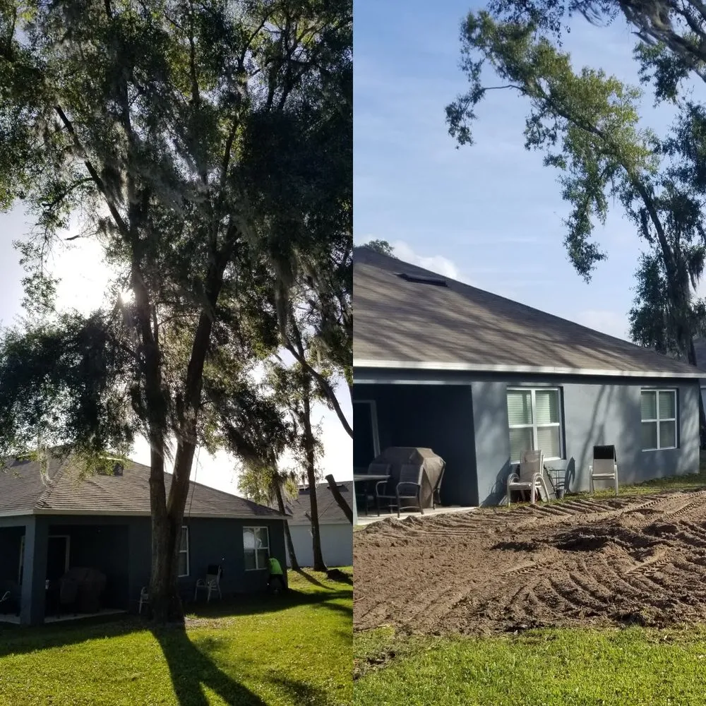 Top-rated landscape design for residential properties in Lady Lake, FL by Andrews Tree Service