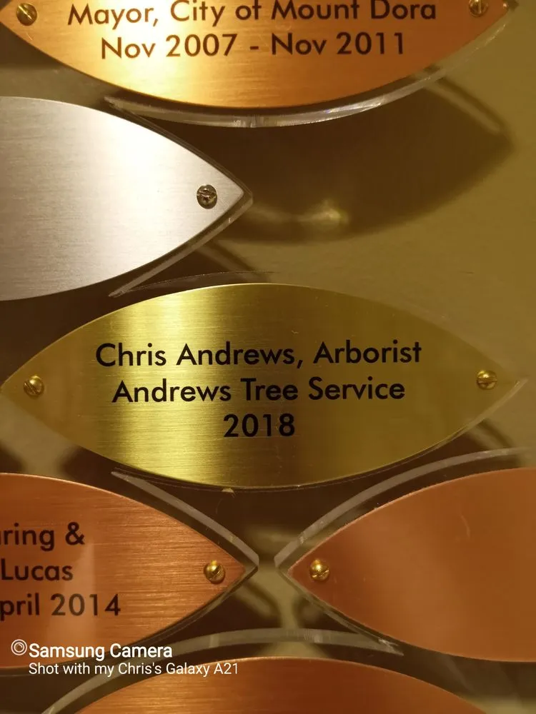 Top-rated yard maintenance in Lady Lake, FL - Andrews Tree Service