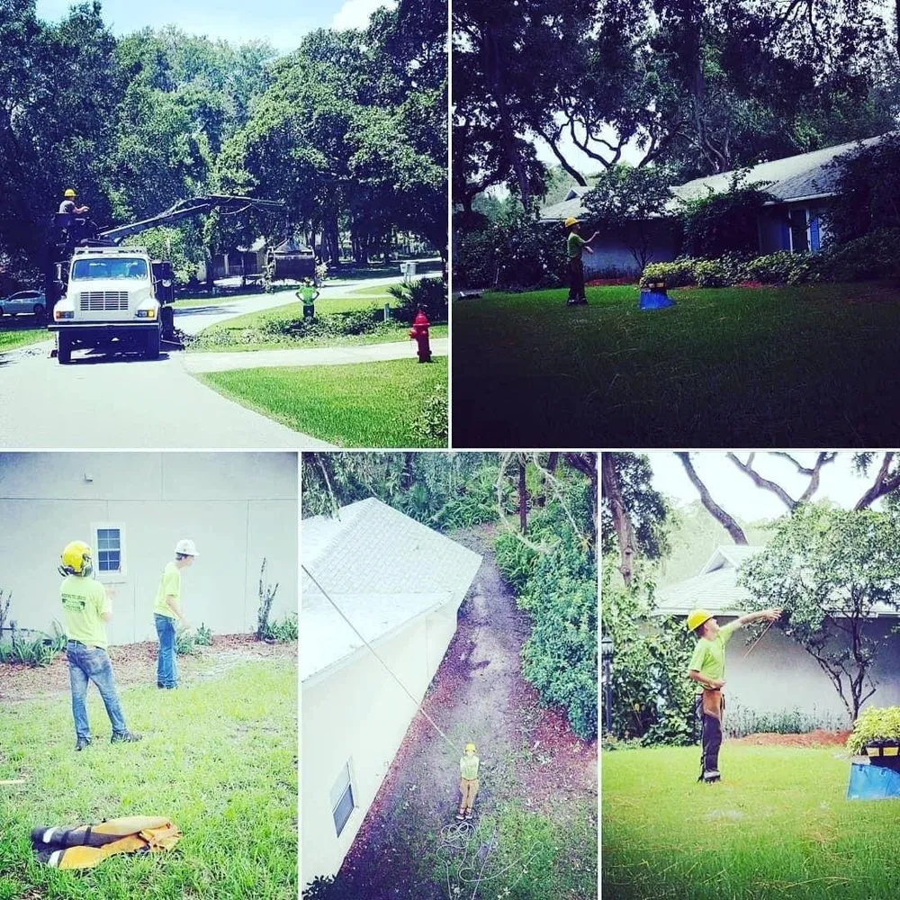 Top-rated residential landscaping in Lady Lake, FL by Andrews Tree Service