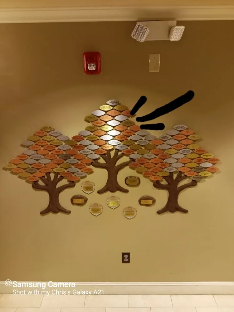 Local landscape design in Lady Lake, FL - Andrews Tree Service