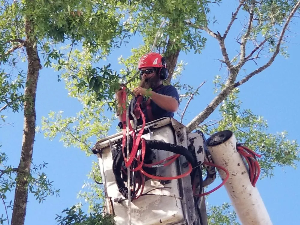 Expert residential landscaping in Leesburg, FL by Andrews Tree Service