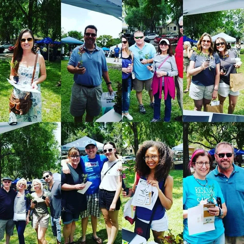 Trusted lawn care service for residential properties in Leesburg, FL by Andrews Tree Service