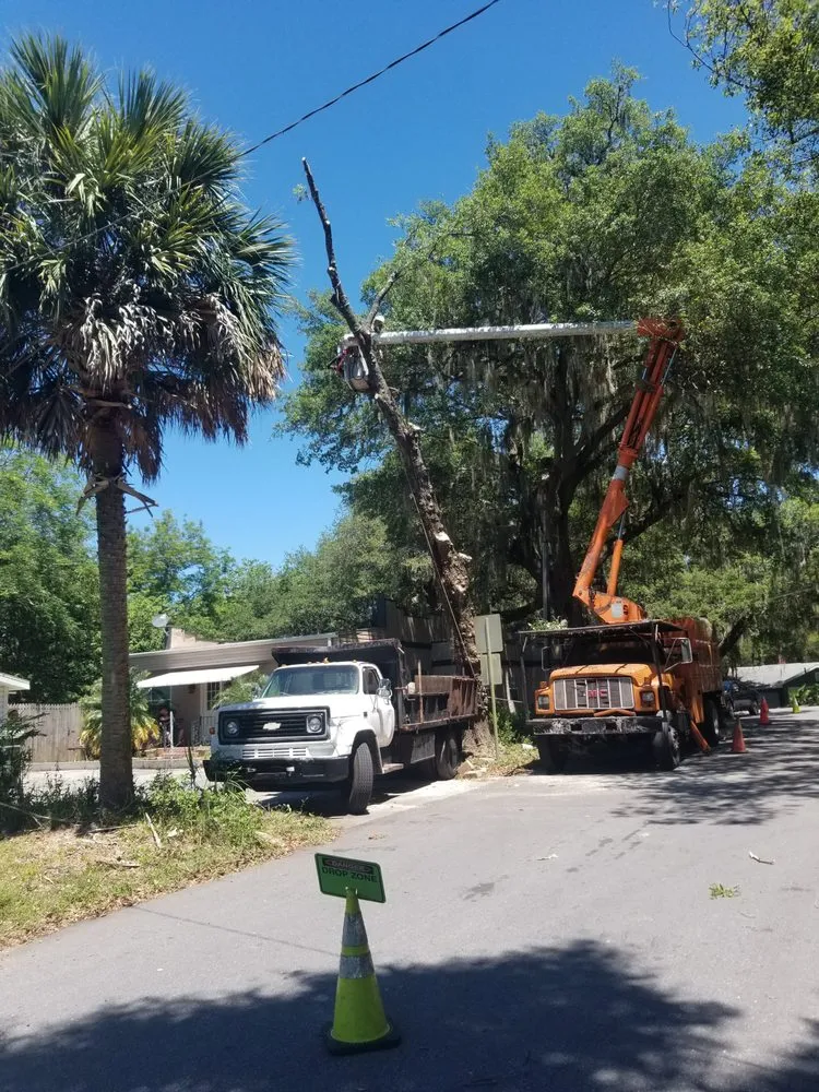 Professional residential landscaping experts serving Leesburg, FL - Andrews Tree Service