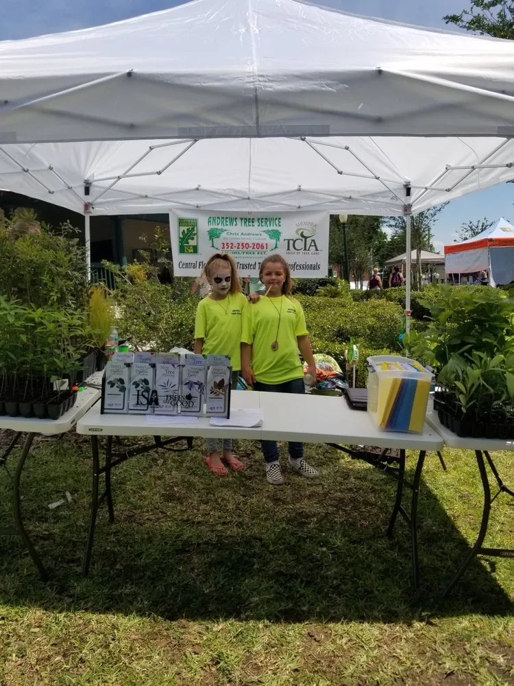 Local residential landscaping experts serving Leesburg, FL - Andrews Tree Service