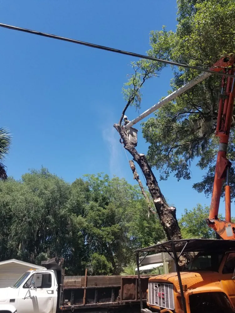 Custom garden landscaping in Leesburg, FL - Andrews Tree Service