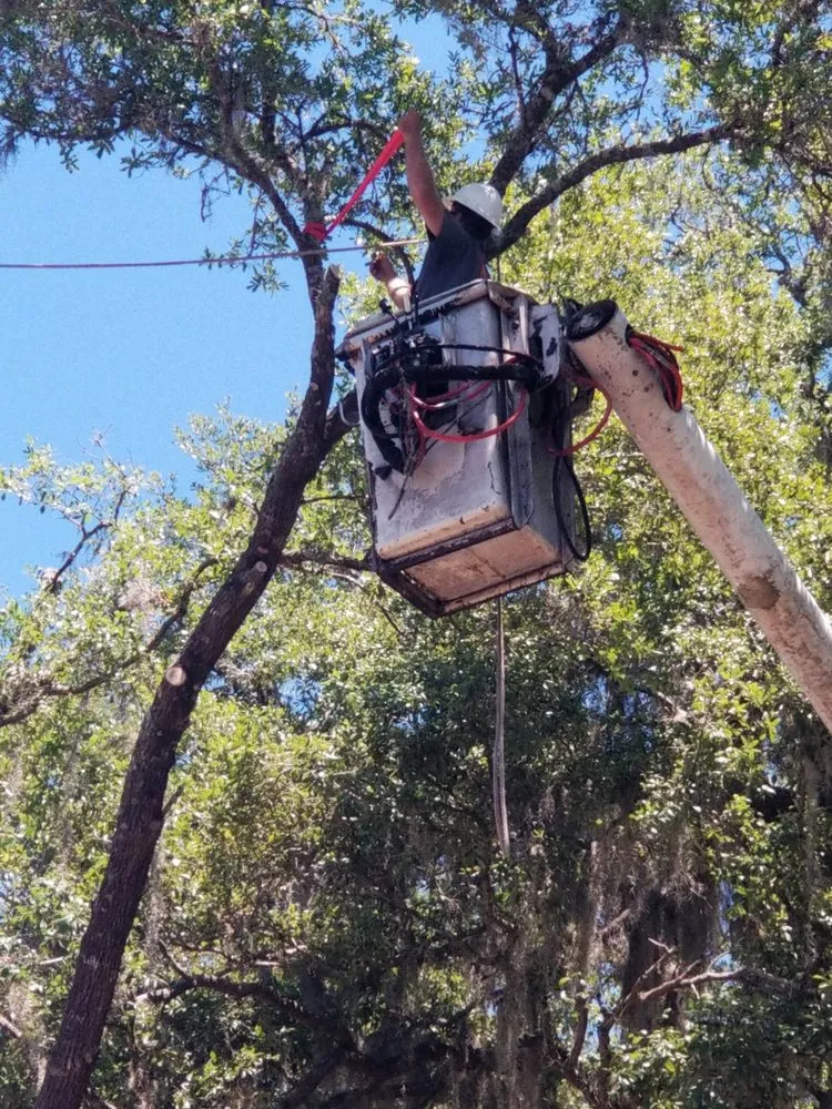Local garden landscaping in Leesburg, FL by Andrews Tree Service
