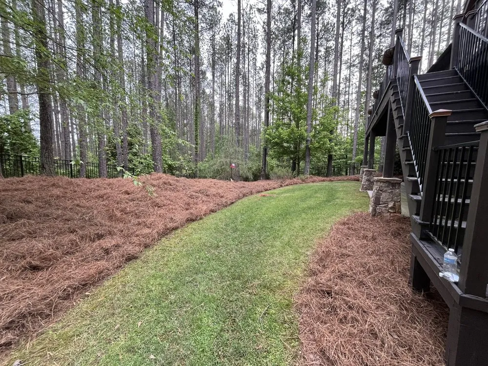 Expert landscape installation in Seneca, SC by Andrey Homes