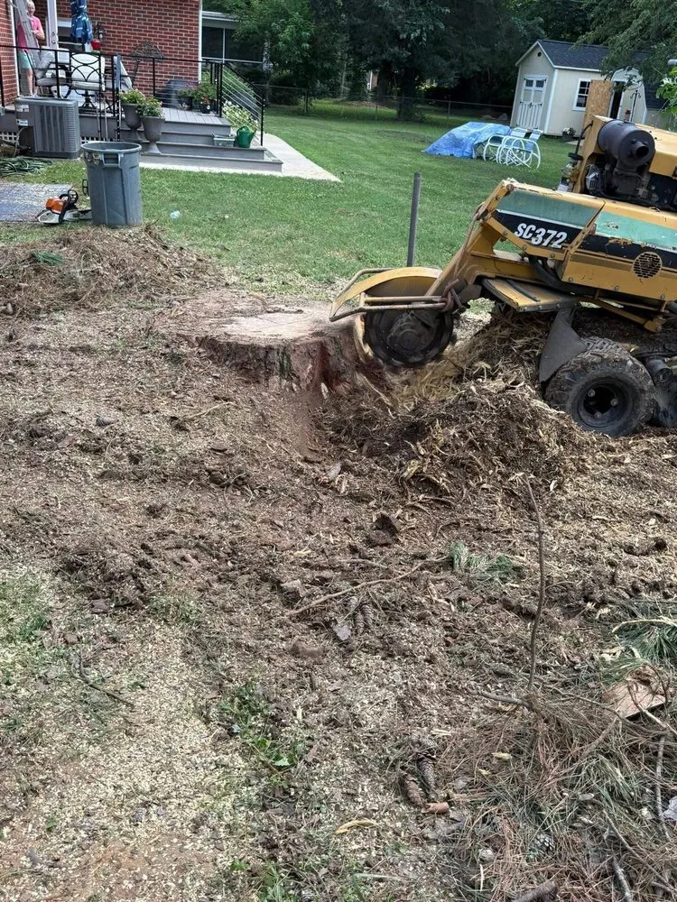 Reliable lawn mowing service in Richmond, VA by Andrey’s Pro Landscaping & Tree Services