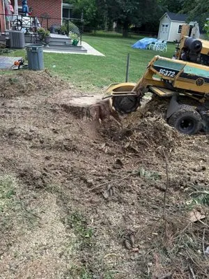 Andrey’s Pro Landscaping & Tree Services Logo