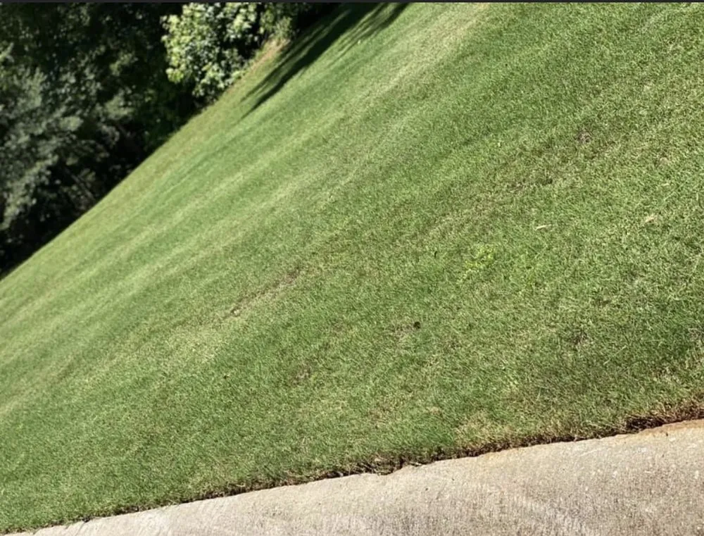 Reliable landscaping services experts serving Fairburn, GA - Andrico Darden lawn care & yard service