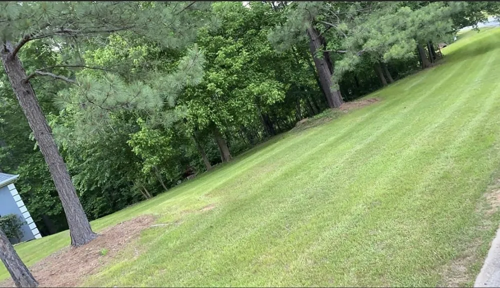 Expert landscape design in Fairburn, GA by Andrico Darden lawn care & yard service