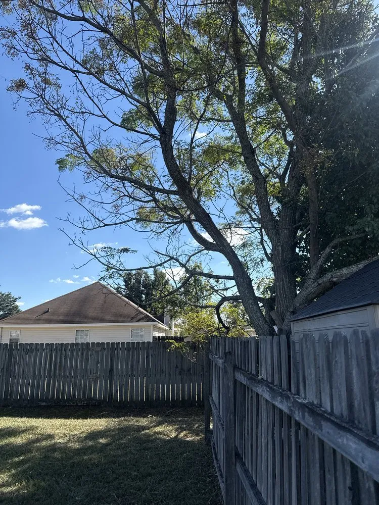 Expert yard maintenance for homes in Danville, GA by Andriko’s