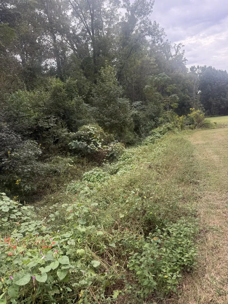 Reliable garden landscaping in Danville, GA - Andriko’s