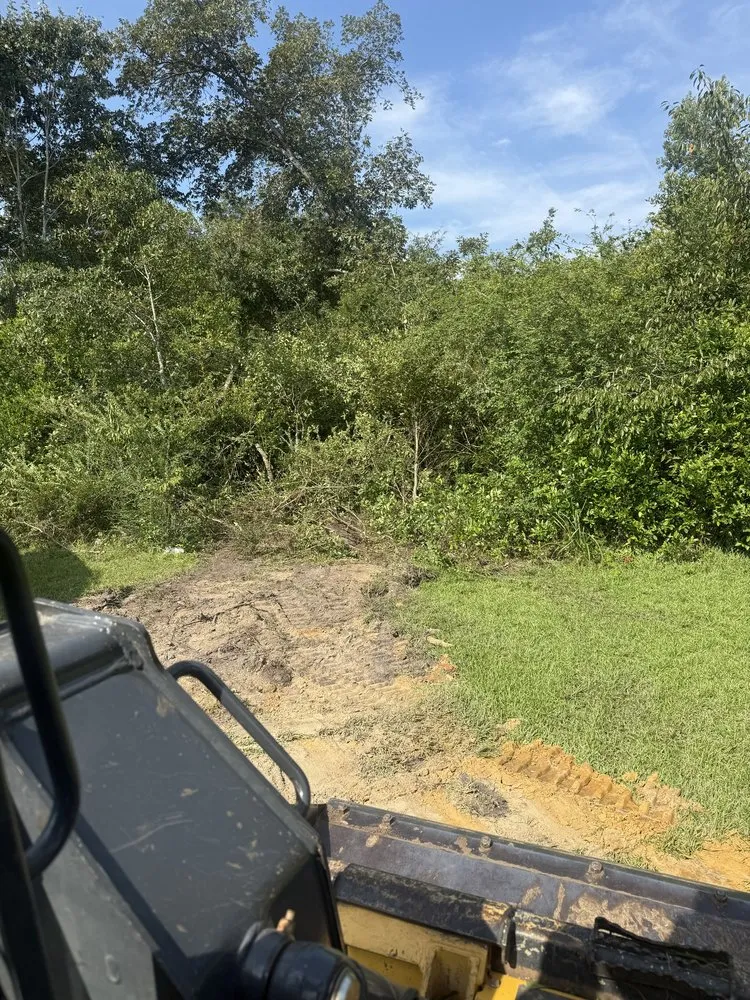 Expert yard cleanup service for beautiful yards in Danville, GA by Andriko’s