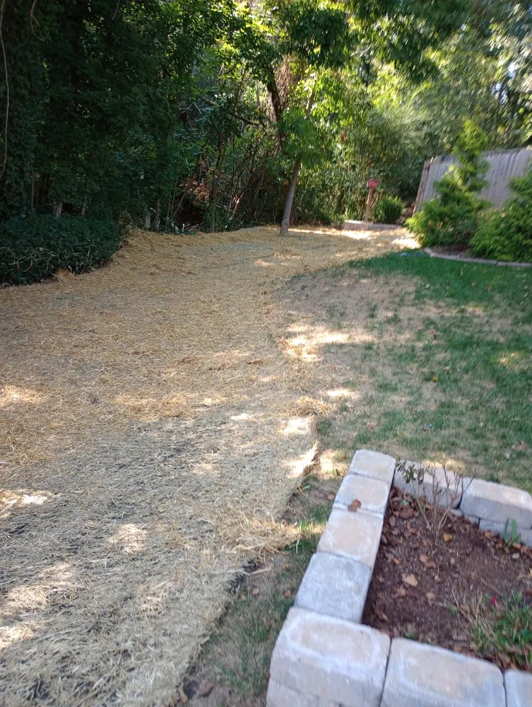 Top-rated outdoor landscaping in Clarksville, TN - Androws Lawn and Landscaping