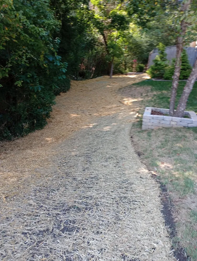 Professional landscape design experts serving Clarksville, TN - Androws Lawn and Landscaping