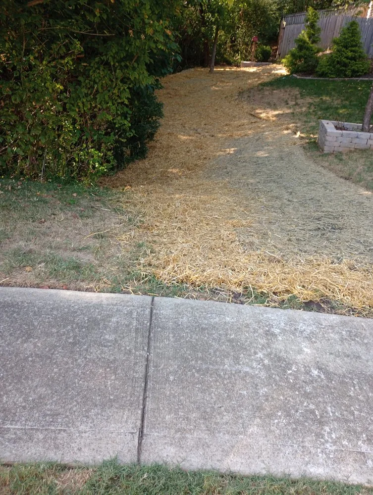 Local yard maintenance near you in Clarksville, TN by Androws Lawn and Landscaping