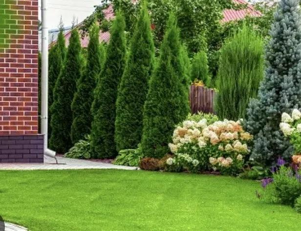 Expert residential landscaping experts serving Hawthorne, CA - Andrés Landscape Service