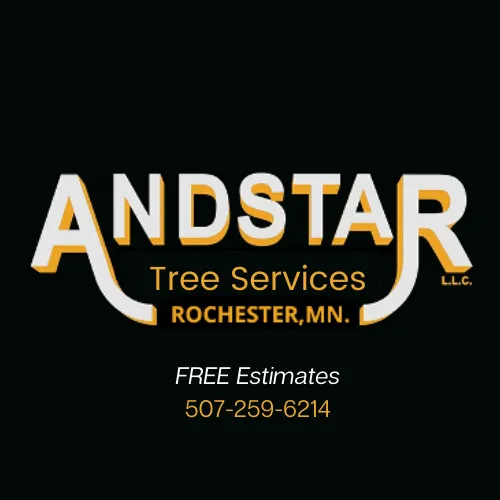 Top-rated landscaping services experts serving Rochester, MN - Andstar Stump Grinding