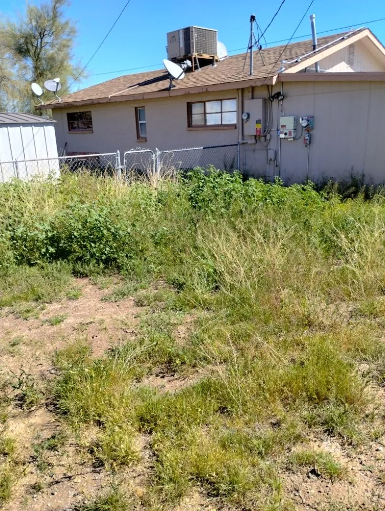 Custom residential landscaping for residential properties across Florence, AZ - Andy Anderson's Landscaping