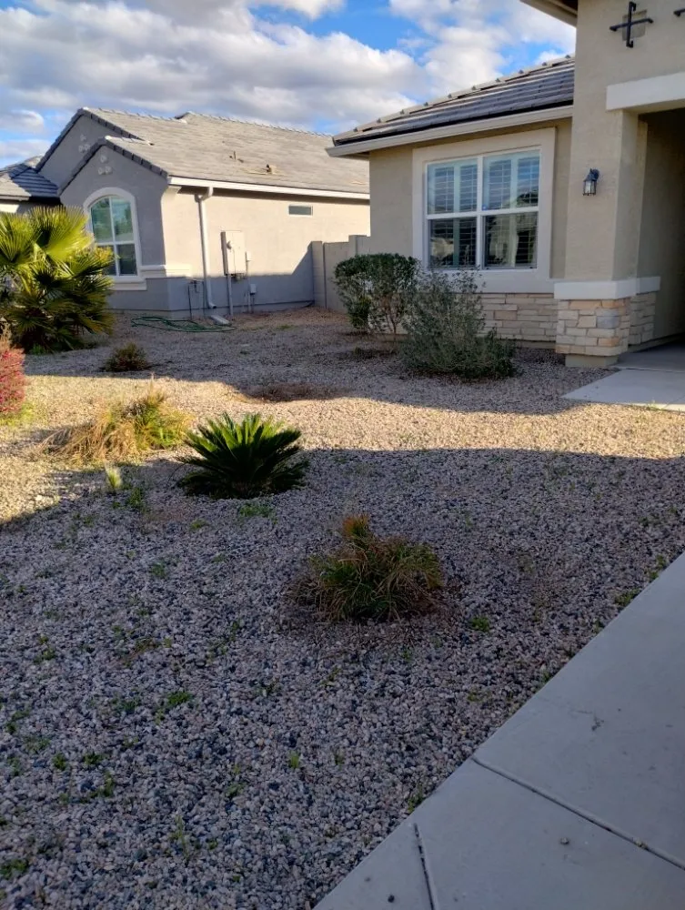 Custom landscape design experts serving Florence, AZ - Andy Anderson's Landscaping