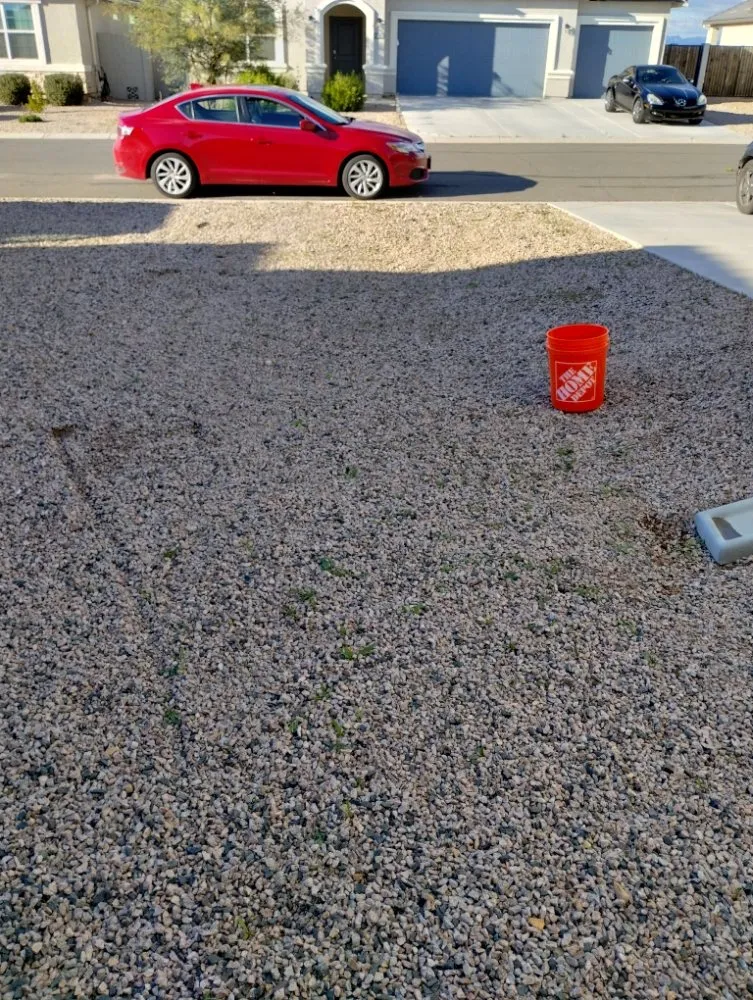 Professional landscape installation with custom design in Florence, AZ by Andy Anderson's Landscaping