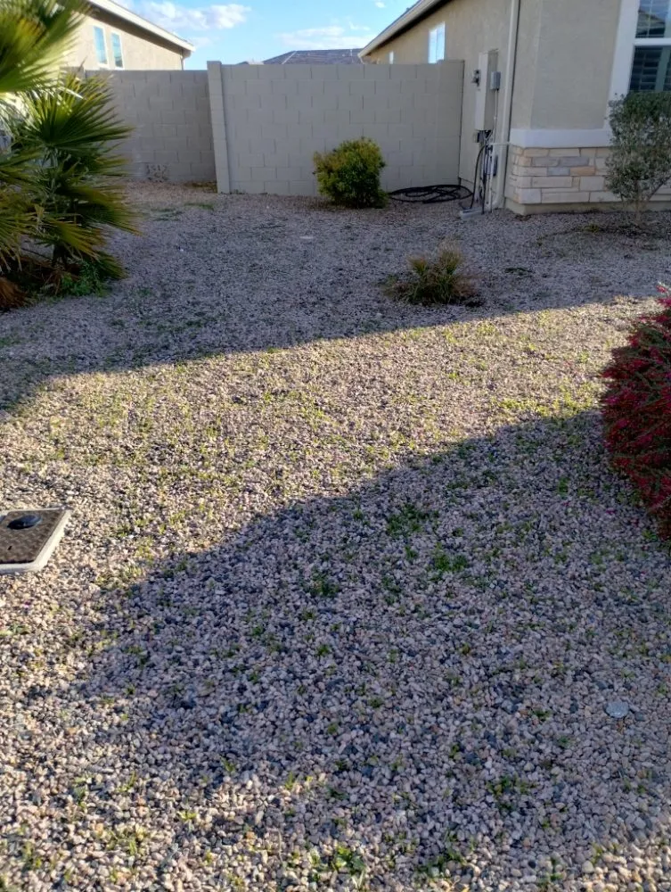 Top-rated lawn care service experts serving Florence, AZ - Andy Anderson's Landscaping