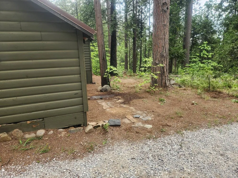 Affordable yard cleanup service experts serving Sonora, CA - Andy Cares Yard & Home