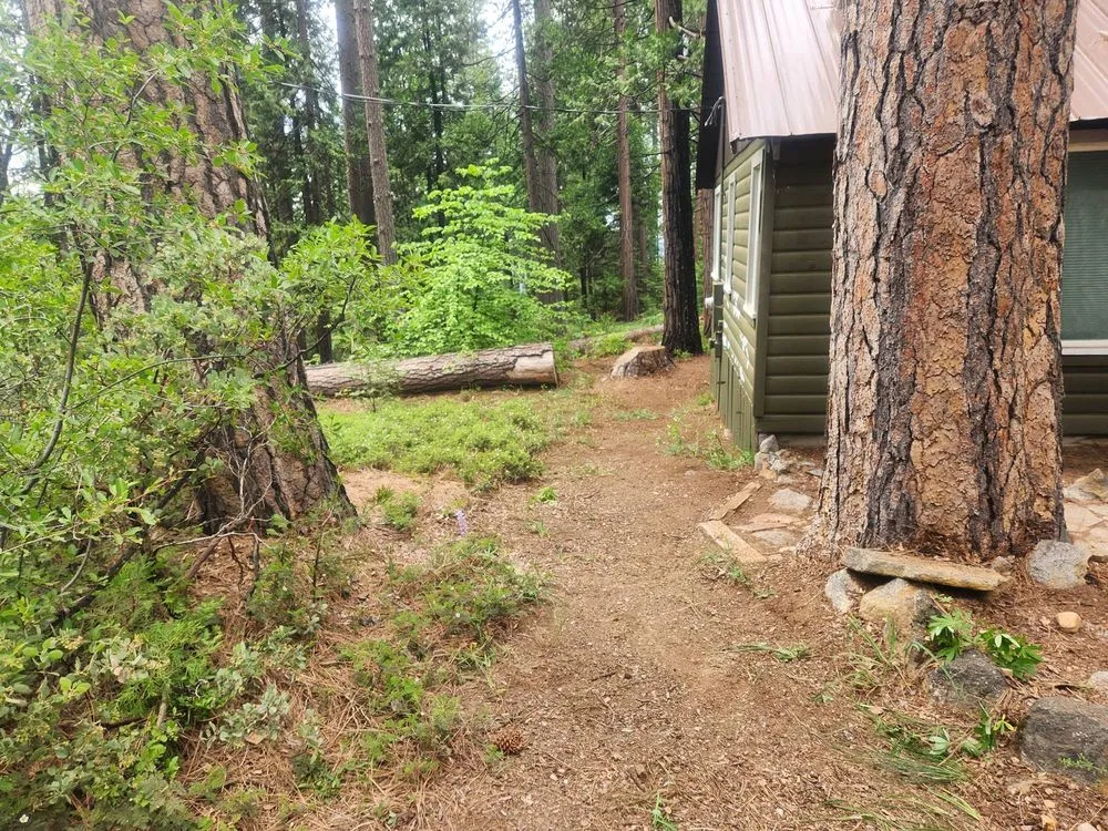 Local yard maintenance in Sonora, CA - Andy Cares Yard & Home