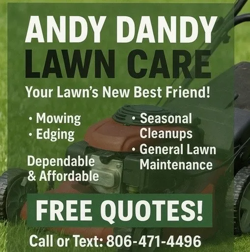 Professional yard cleanup service experts serving Amarillo, TX - Andy Dandy Lawn Care