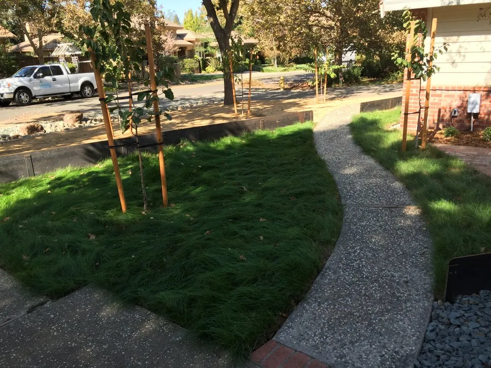 Professional lawn care service experts serving Woodland, CA - Andy Gagnon Landscapes
