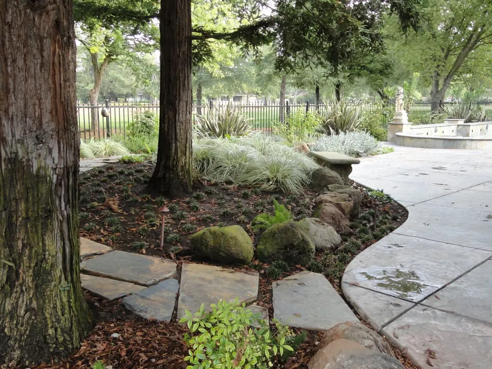 Custom yard maintenance in Woodland, CA by Andy Gagnon Landscapes