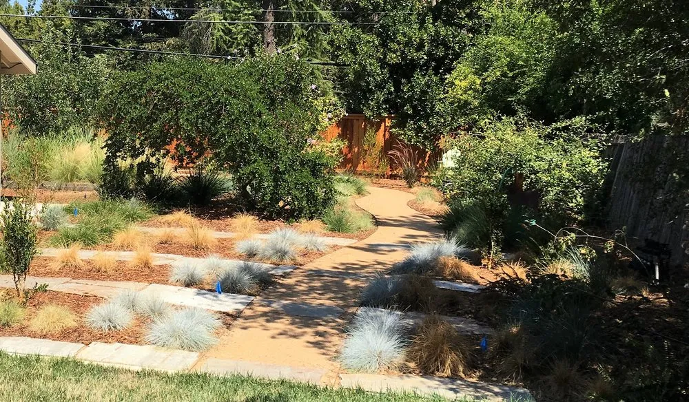 Top-rated landscaping services near you across Woodland, CA - Andy Gagnon Landscapes