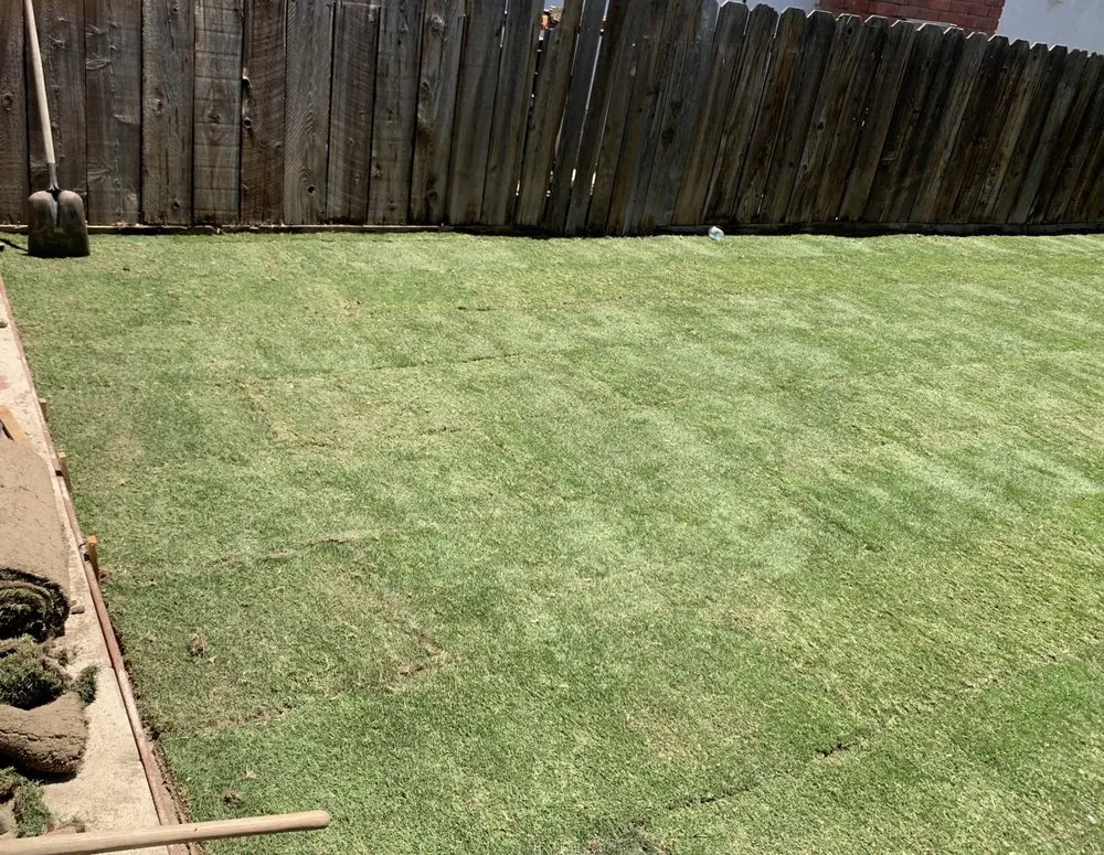 Trusted yard cleanup service for homes across Tulare, CA - Andy Garcia's Lawn Services