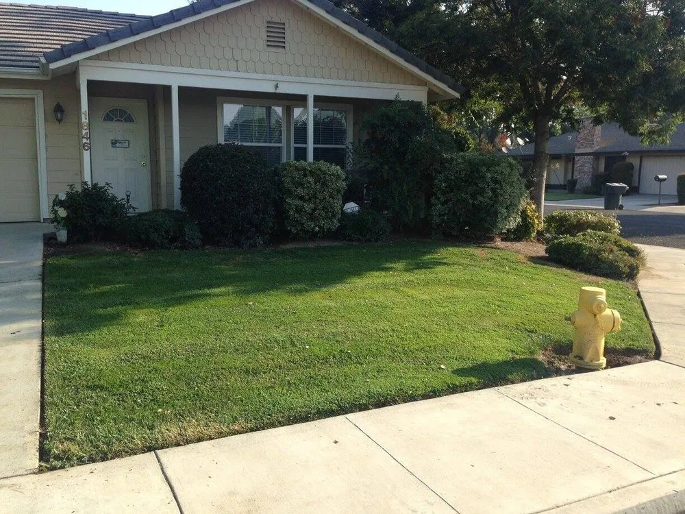 Top-rated landscape installation for year-round maintenance across Tulare, CA - Andy Garcia's Lawn Services
