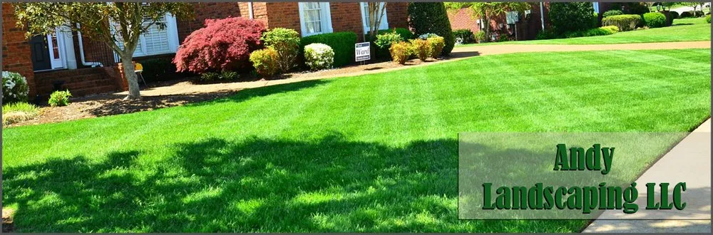 Local yard cleanup service with custom design across Lakewood, NJ - Andy Landscaping