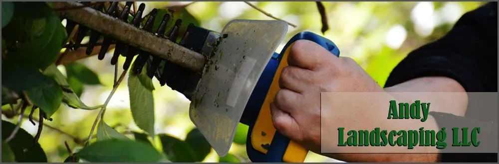 Local lawn care service in Lakewood, NJ - Andy Landscaping